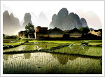 Best Time to Visit Guilin