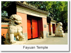 Beijing Buddhism One Day Tour
