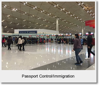 Passport Control/Immigration