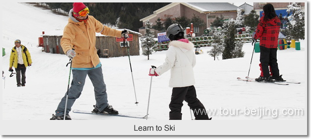  Learn to Ski 