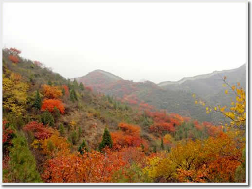 Beijing Badaling National Forest Park