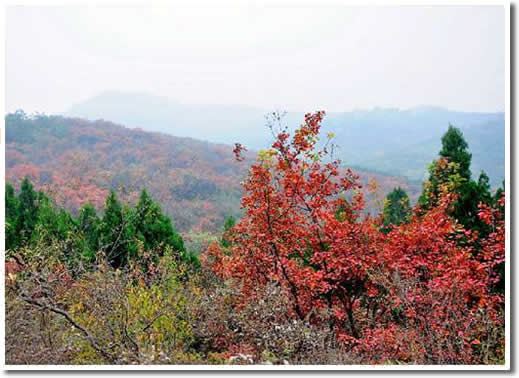 Beijing Baiwangshan Forest Park