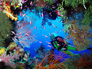 Underwater World of Blue Zoo