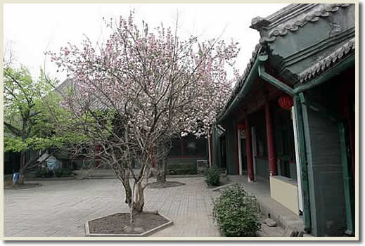 Former Home of Zhang Shizhao and Qiao Guanhua