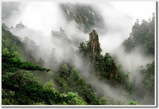 Beijing Mangshan National Forest Park