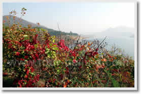 Beijing 5 Day Autumn Tour Package