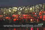 National Stadium ( Nest )