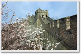 Beijing 4 Day Spring Tour Package