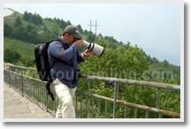 Beijing Bird Watching