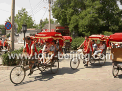 Beijing 4 Day Vacation Package for Retirees