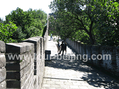 Beijing 4 Day Vacation Package for Retirees