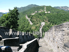 Beijing 5-Day Smart Tour Package for Retirees