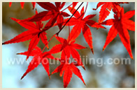Beijing Fall Foliage Getaways