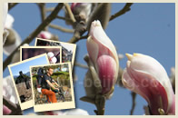 Beijing Springtime Tour