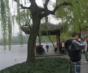 桂林壹地多日豪華私人旅遊