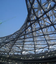 Beijing Olympic Bike Half Day Tour