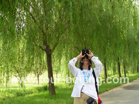 Bird watchers