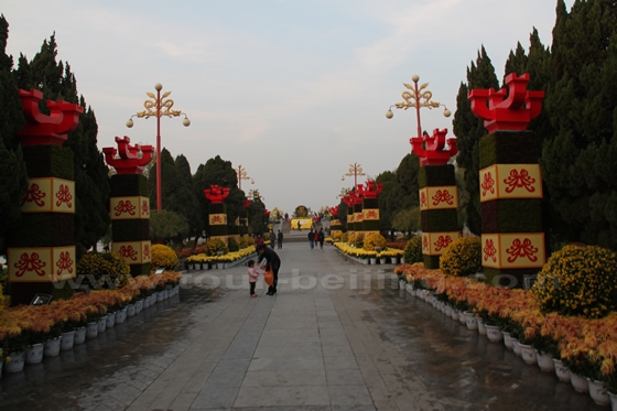 450m long imperial way decorated with pots of yellow Chrysanthemum flowers
