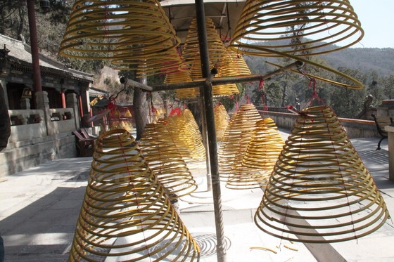 A group of hanging coiled incenses burning