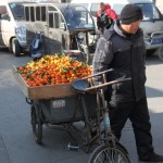 A vendor with a pedicab of oranges
