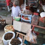 An old lady selling the local products