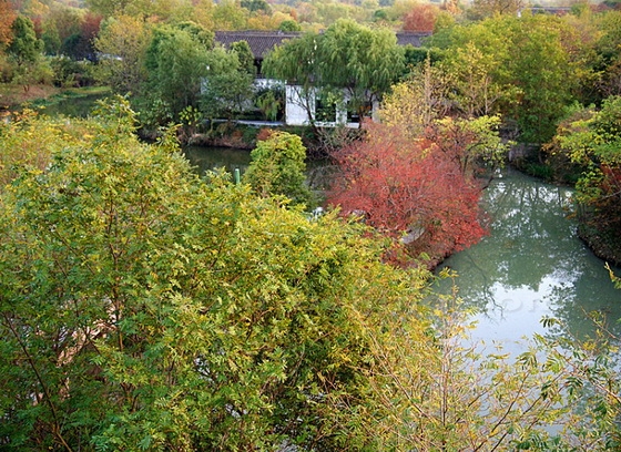 Autumn Color at Xixi National Wetland Park
