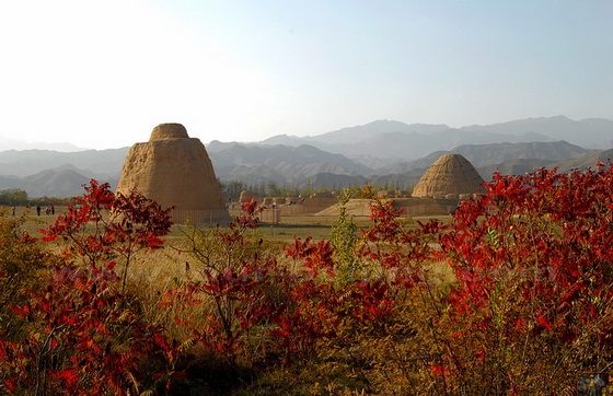 Autumn Leaves at the Western Xia Imperial Tombs 