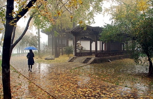 Autumn View at Xingqing Palace Park