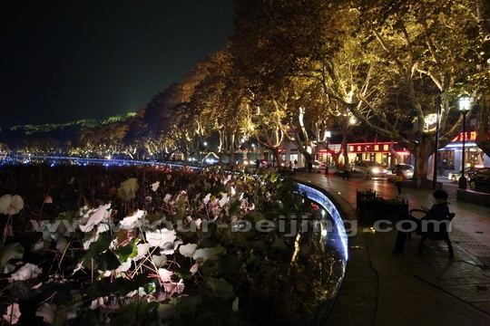 Beishan Road at night 