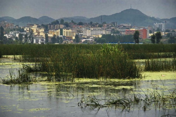Caohai Lake