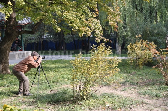 The best place to see autumn leaves downtown Beijing « Beijing ... The best place to see autumn leaves downtown Beijing « Beijing ...
