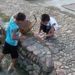 Catching small fishes in the ditch