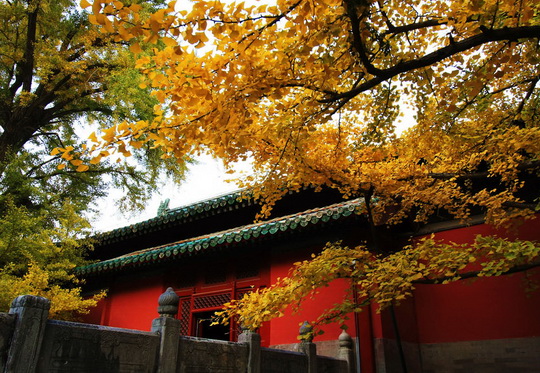Beijing Dajue Temple