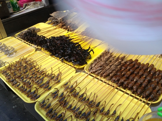Exotic skewers of fried beetles and more.
