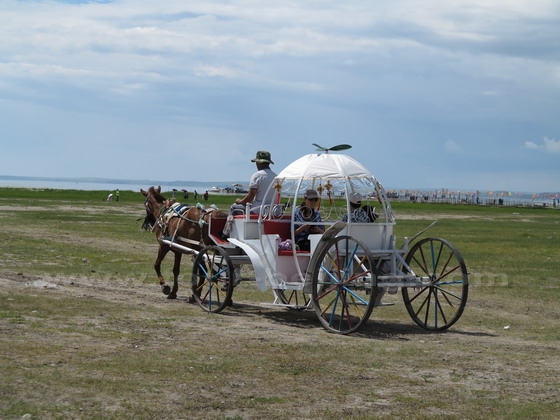 Experiencing the lele cart, a Mongolian-style ox cart also known as jigger cart