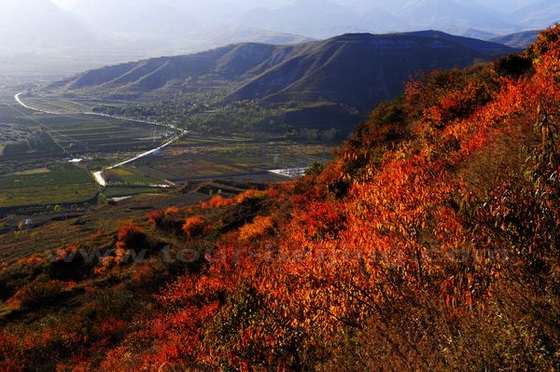 Fall Foliage at Wating Village in Guyuan in the south of Ningxia