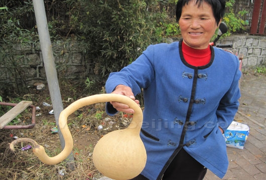One woman was showing her biggest gourd to us very happily.
