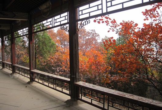 View Corridor is located on the right east of Guanyin Temple.