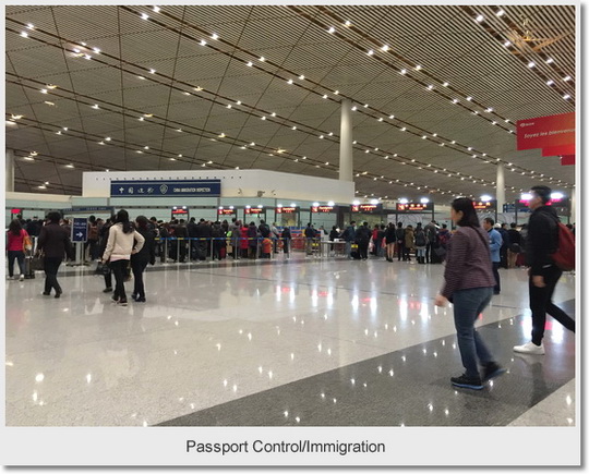 Passport Control and Immigration