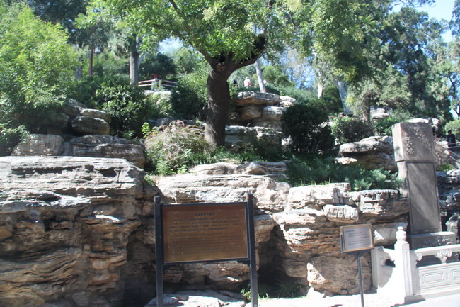 Jingshan 8