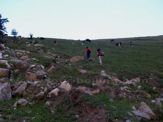 Lingshan Mountain
