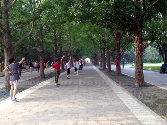 Many people are doing morning exercises on the road covered with high Ginkgo trees.