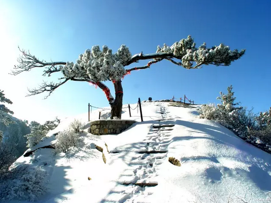 Mount Huashan in White Snow (50