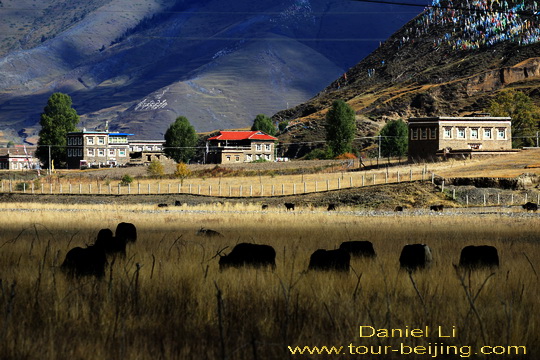 Muya Tibetan Village