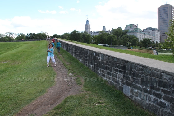 Quebec City Wall 3