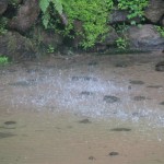 Rippled pond under the falling water from the top in the Water Curtain Cave.