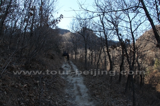  Scramble along a narrow and steep bushy mountain path