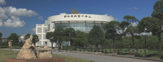 No.7: Shanghai Museum of TCM