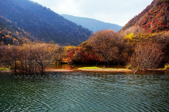 Autumn Color at Shangwuzhuang Water Gorge at Huangzhong County