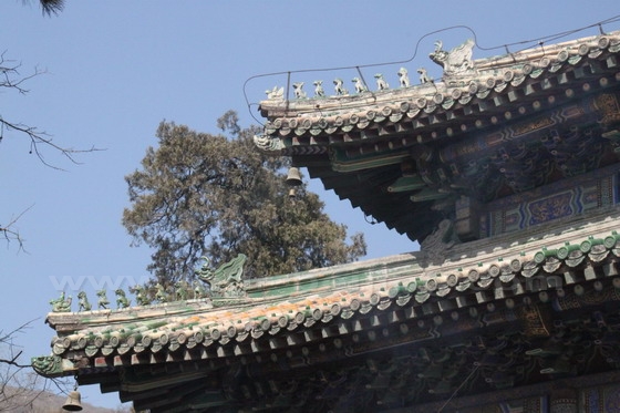 Since it was once an imperial temple, it had enjoyed much higher position among buddhist temples. Look at the 8 mythical animals on the doubled eaves, only one animal less than Forbidden City.